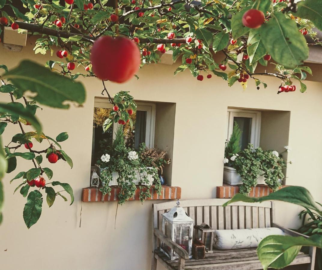 La Casa Del Giardiniere Villa Zero Branco Eksteriør bilde