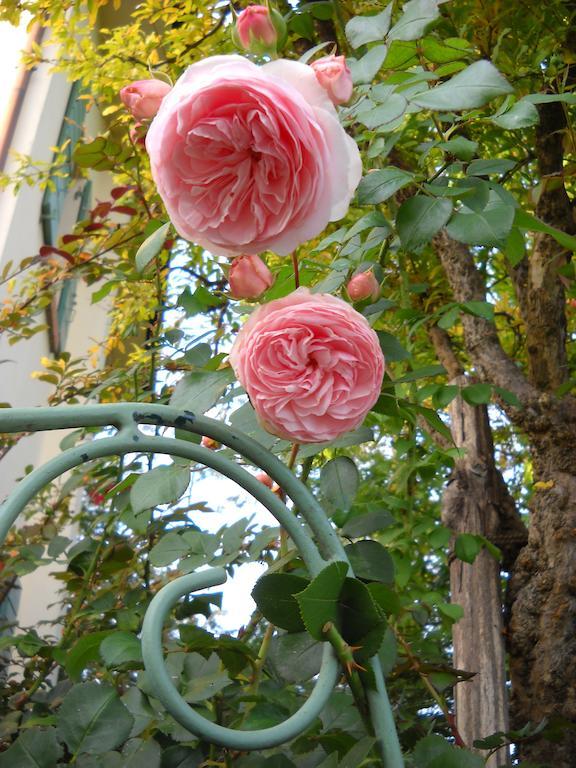 La Casa Del Giardiniere Villa Zero Branco Eksteriør bilde